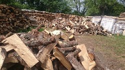 Clic pour élargir